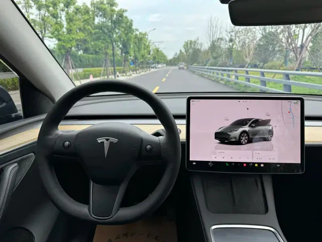Tesla Model Y — Фото автомобиля 18