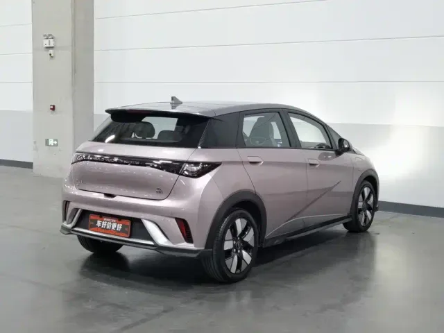 BYD Dolphin — Фото автомобиля 2