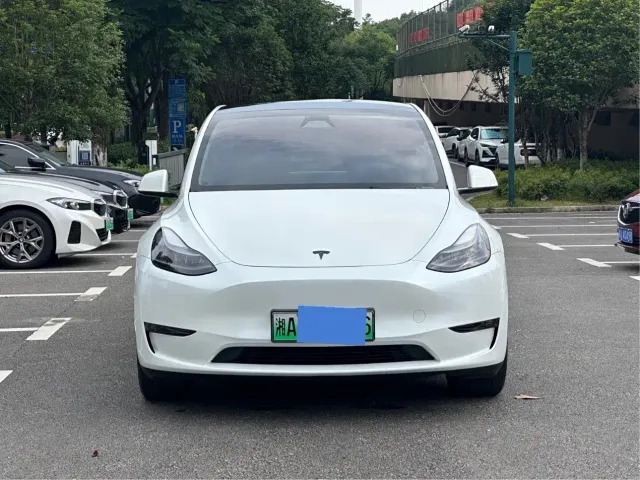 Tesla Model Y — Фото автомобиля 3