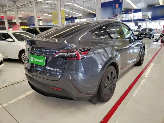 Tesla Model Y — Фото автомобиля 6