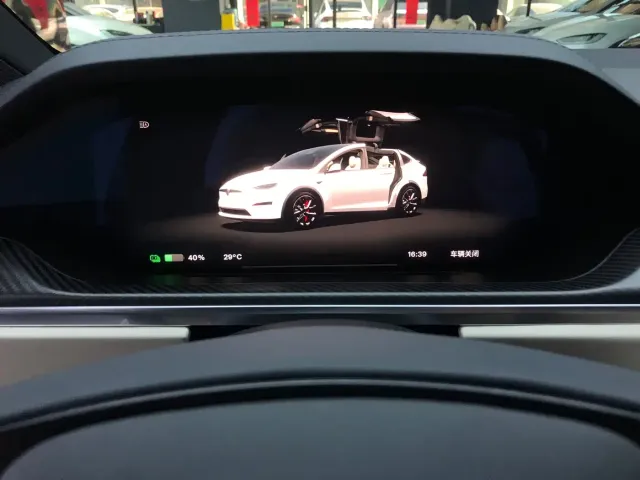 Tesla Model X — Фото автомобиля 20