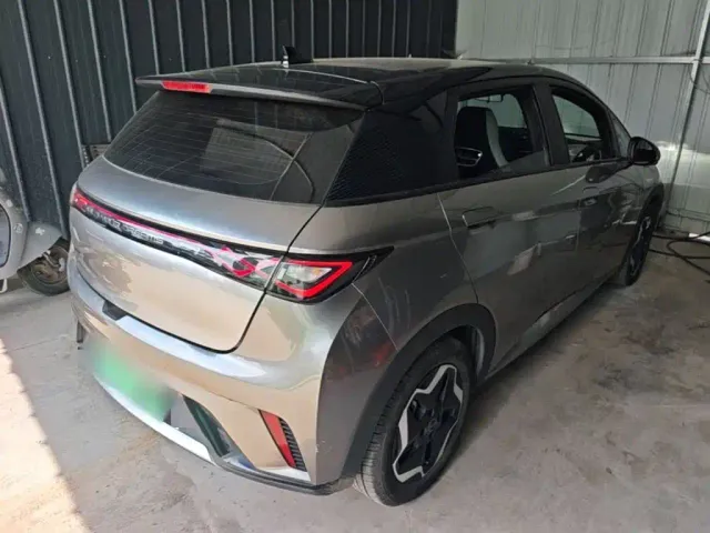 BYD Dolphin — Фото автомобиля 6