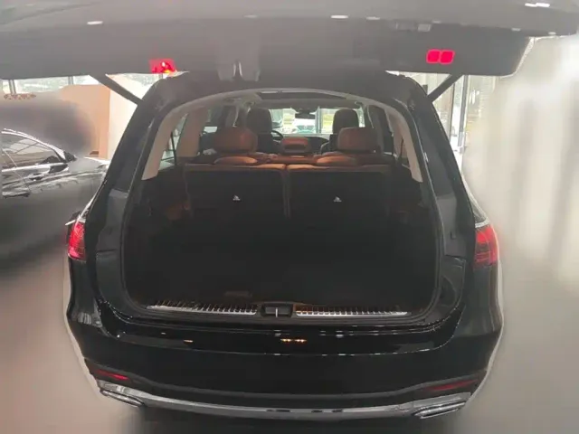 Mercedes-Benz GLS-Class — Фото автомобиля 23