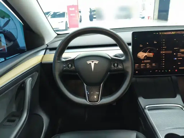 Tesla Model Y — Фото автомобиля 10