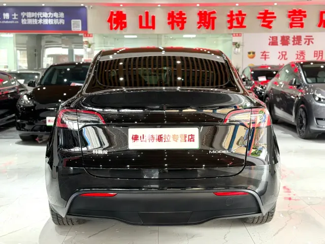 Tesla Model Y — Фото автомобиля 6