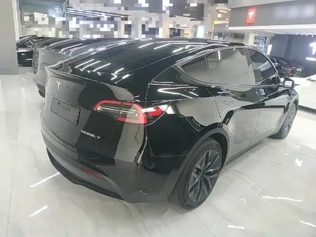 Tesla Model Y — Фото автомобиля 6