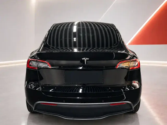 Tesla Model Y — Фото автомобиля 5