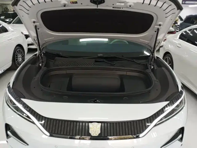 BYD Song L EV — Фото автомобиля 19