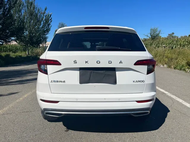 Skoda Karoq — Фото автомобиля 6