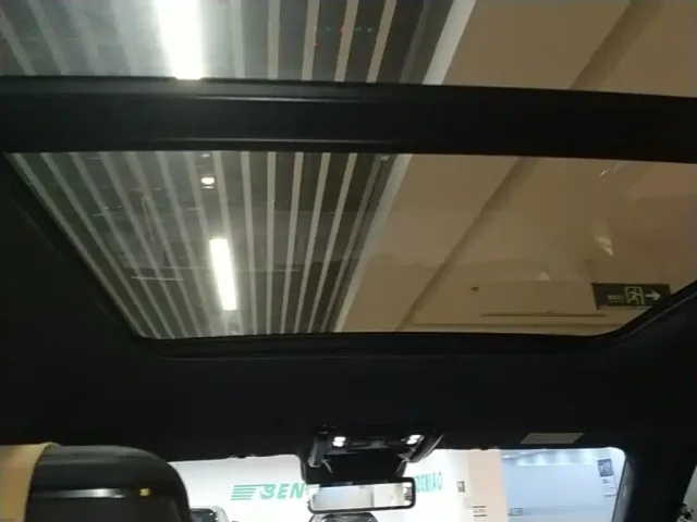 BYD FangChengBao Leopard 5 — Фото автомобиля 17