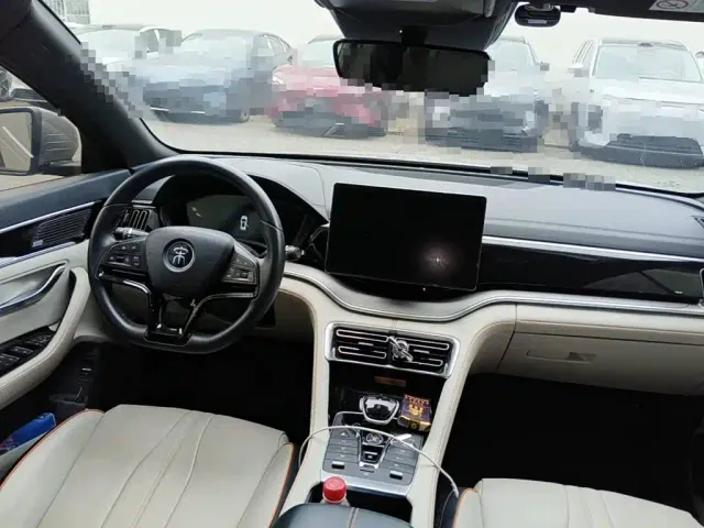 BYD Song PLUS — Фото автомобиля 11