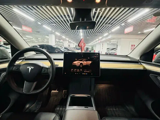 Tesla Model Y — Фото автомобиля 8