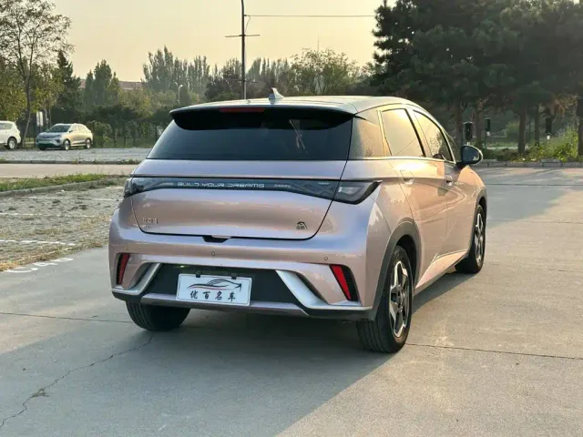 BYD Dolphin — Фото автомобиля 6