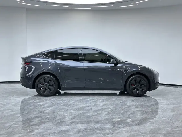 Tesla Model Y — Фото автомобиля 9