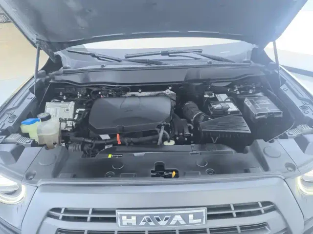 Haval Big Dog — Фото автомобиля 10