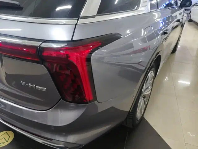 Hongqi E-HS9 — Фото автомобиля 7