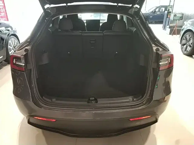 Tesla Model Y — Фото автомобиля 18