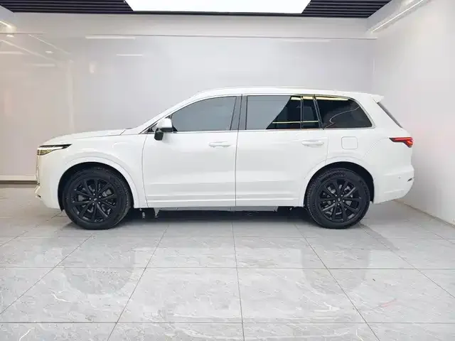 Li Auto ONE — Фото автомобиля 10