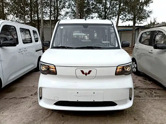 Wuling Zhiguang NEV — Фото автомобиля 2