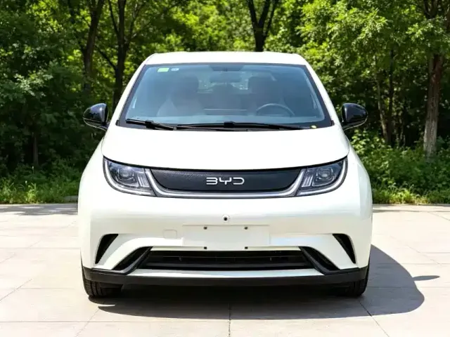 BYD Dolphin — Фото автомобиля 2