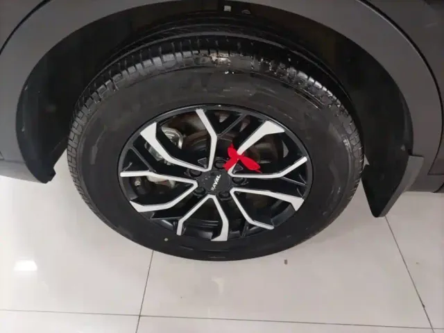 Haval H6 — Фото автомобиля 24