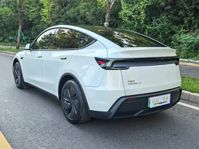 Tesla Model Y — Фото автомобиля 8