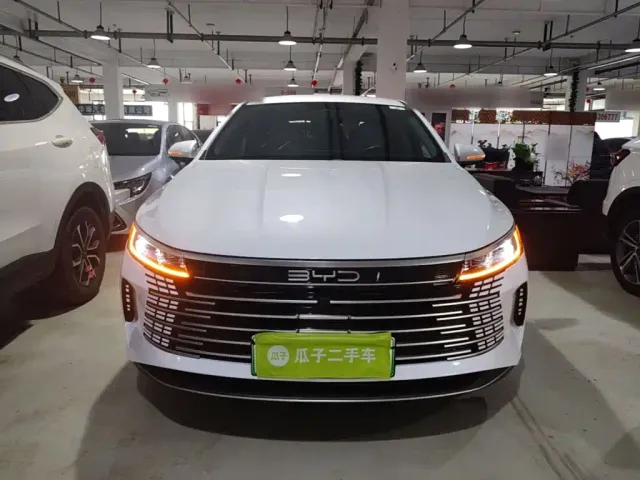 BYD Destroyer 05 — Фото автомобиля 2