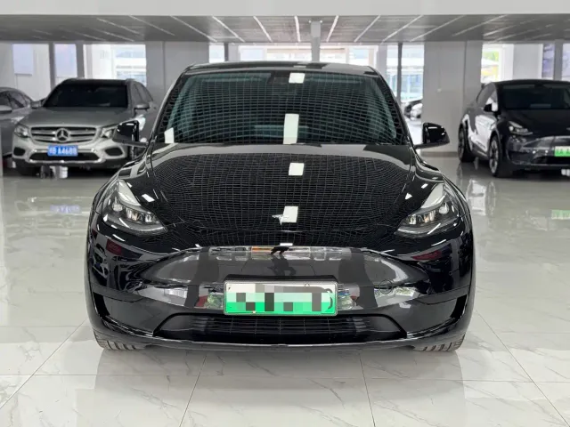 Tesla Model Y — Фото автомобиля 2