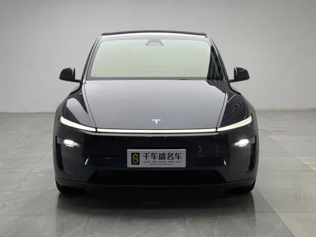Tesla Model Y — Фото автомобиля 2