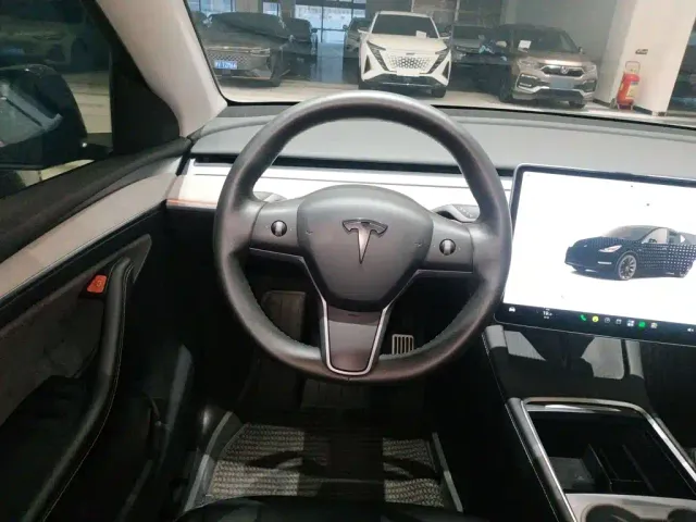 Tesla Model Y — Фото автомобиля 10
