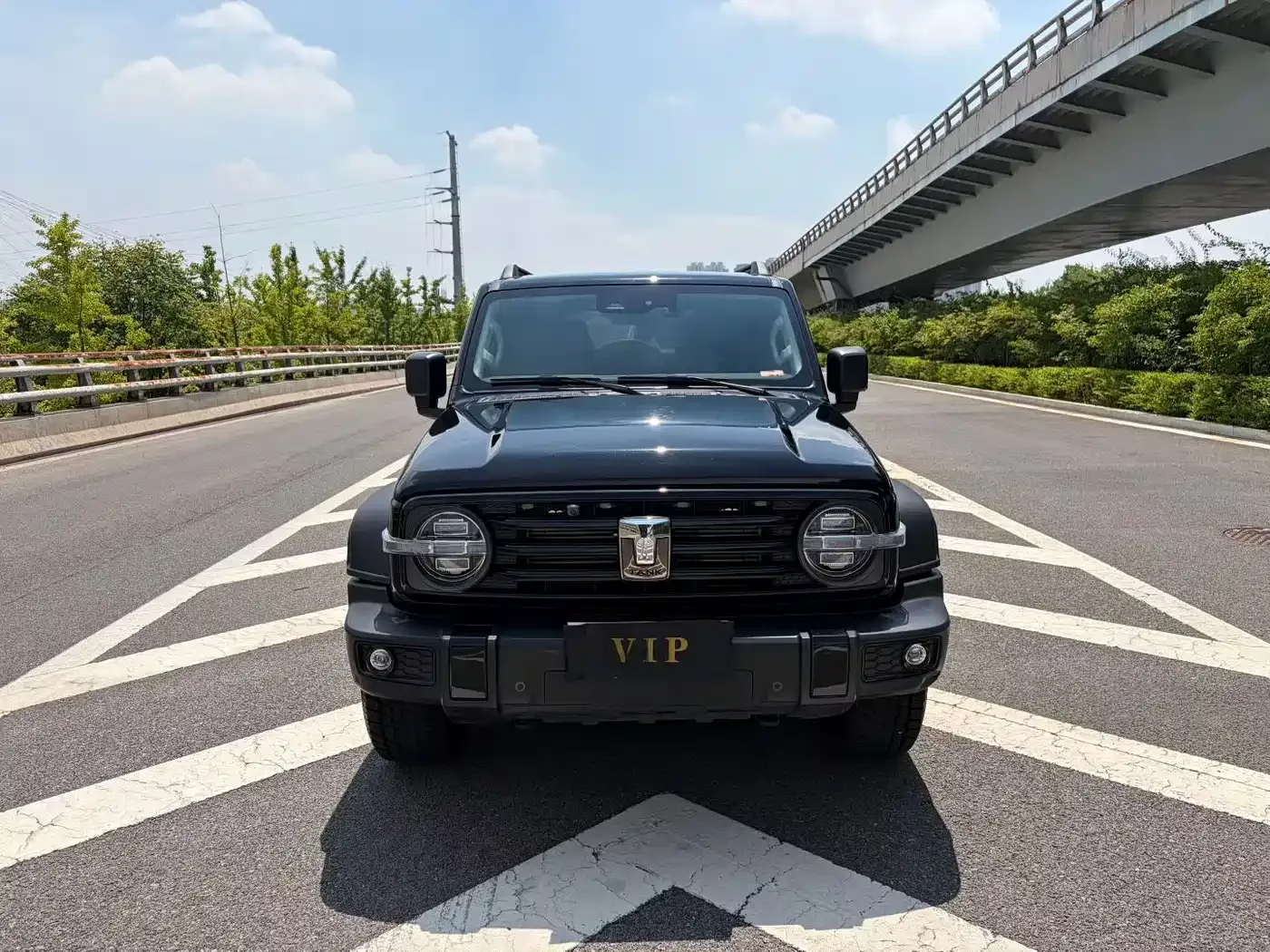 Tank Tank 300 2021 Off-road Version 2.0T Conqueror — Фото автомобиля 2