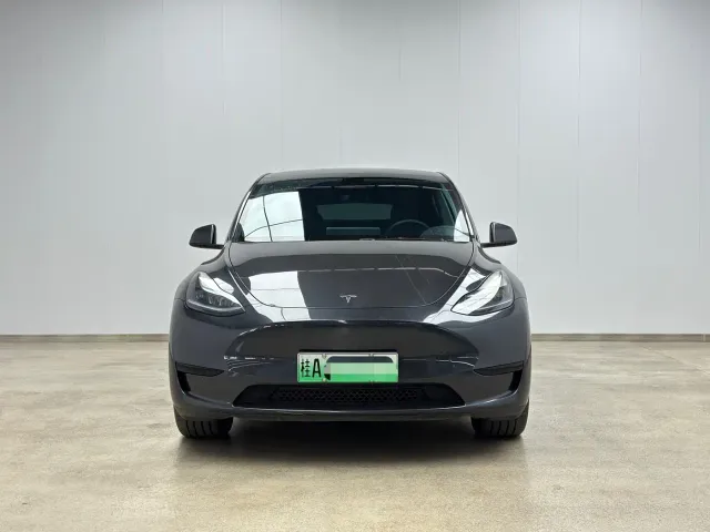 Tesla Model Y — Фото автомобиля 2