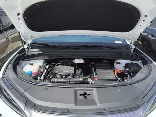 BYD Song L DM-i — Фото автомобиля 15