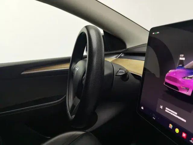 Tesla Model Y — Фото автомобиля 22