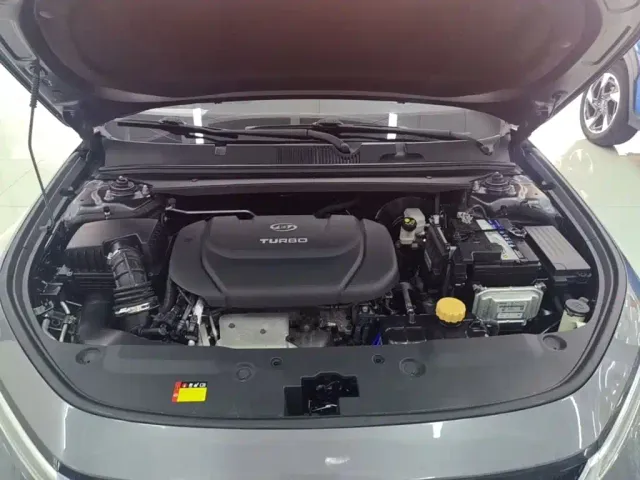 Baojun Baojun Valli 2021 1.5T Nagqu Starry Sky CVT Flagship Model — Фото автомобиля 19