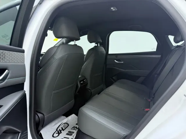 BYD Qin PLUS — Фото автомобиля 8