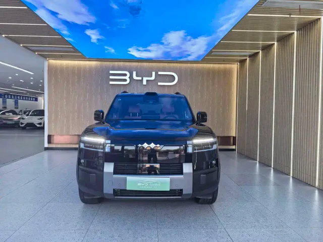 BYD FangChengBao Titanium 7 — Фото автомобиля 4