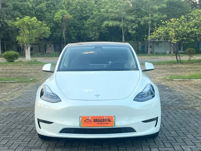 Tesla Model Y — Фото автомобиля 2