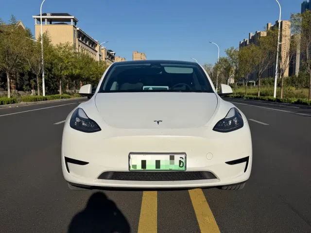 Tesla Model Y — Фото автомобиля 2