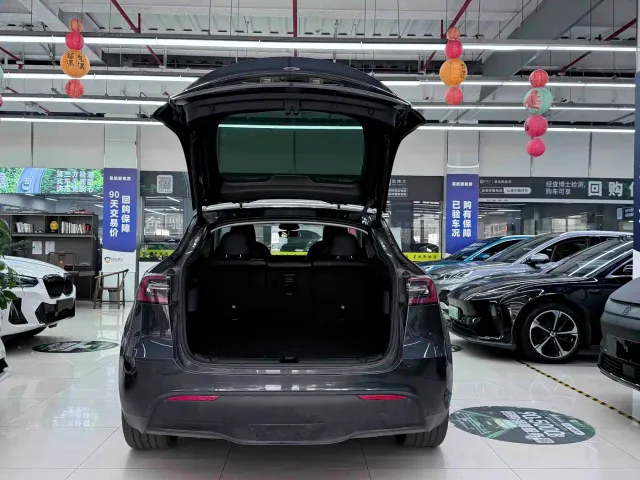 Tesla Model Y — Фото автомобиля 7