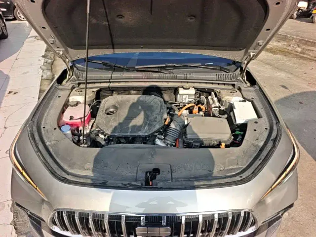 Geely Galaxy Stellar 6 — Фото автомобиля 19