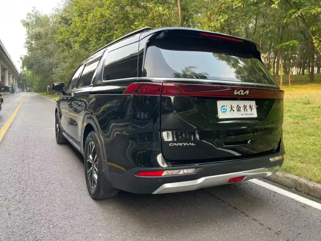 Kia Carnival — Фото автомобиля 17