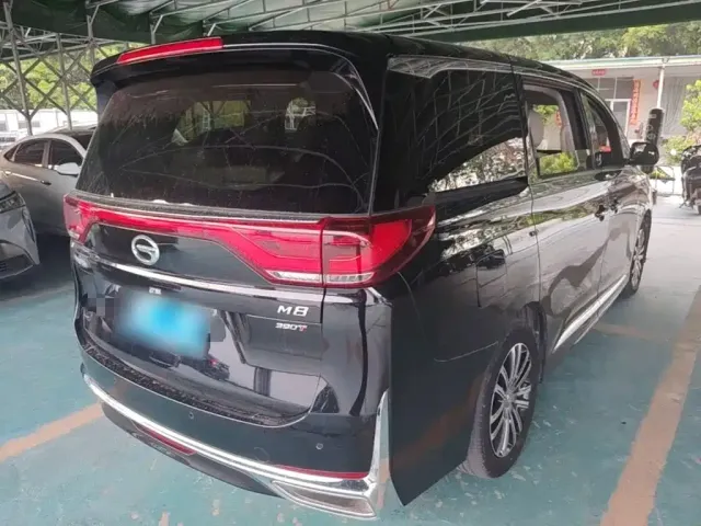 GAC Trumpchi Trumpchi M8 2021 Leading Show Series 390T Prestige Edition — Фото автомобиля 6