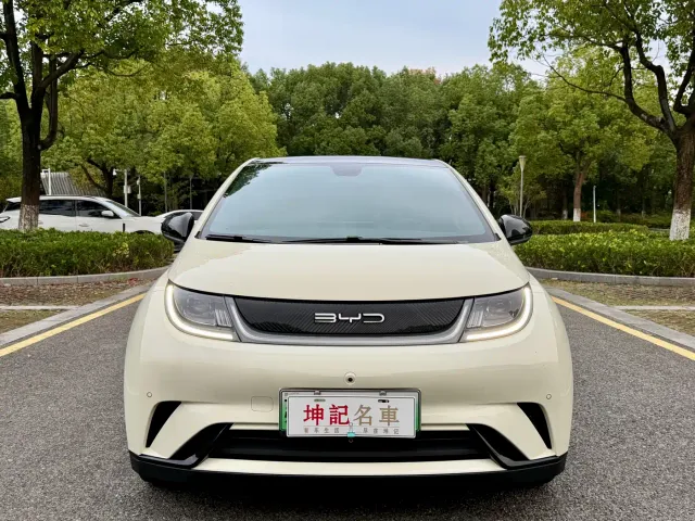 BYD Dolphin — Фото автомобиля 2