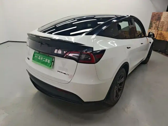 Tesla Model Y — Фото автомобиля 6