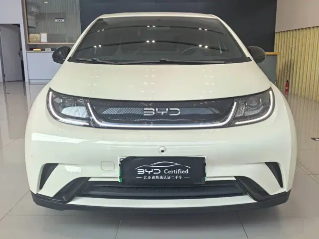 BYD Dolphin — Фото автомобиля 2