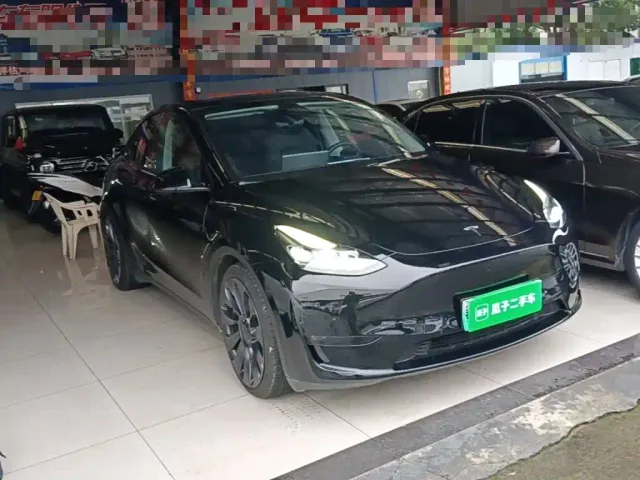 Tesla Model Y — Фото автомобиля 3