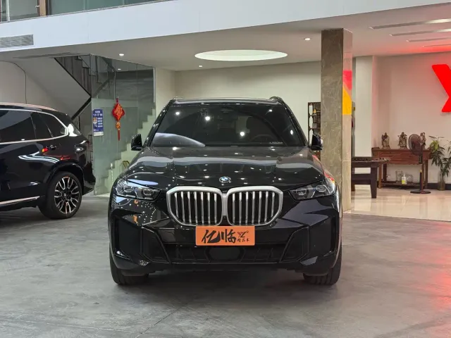 BMW X5 — Фото автомобиля 2