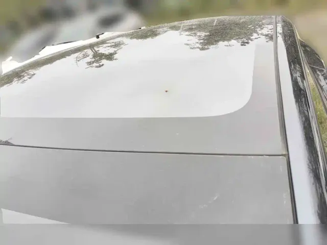 Tesla Model Y — Фото автомобиля 6