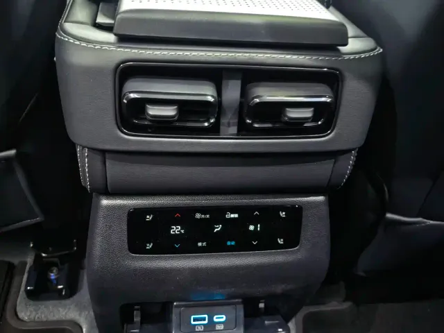 BYD FangChengBao Leopard 5 — Фото автомобиля 17